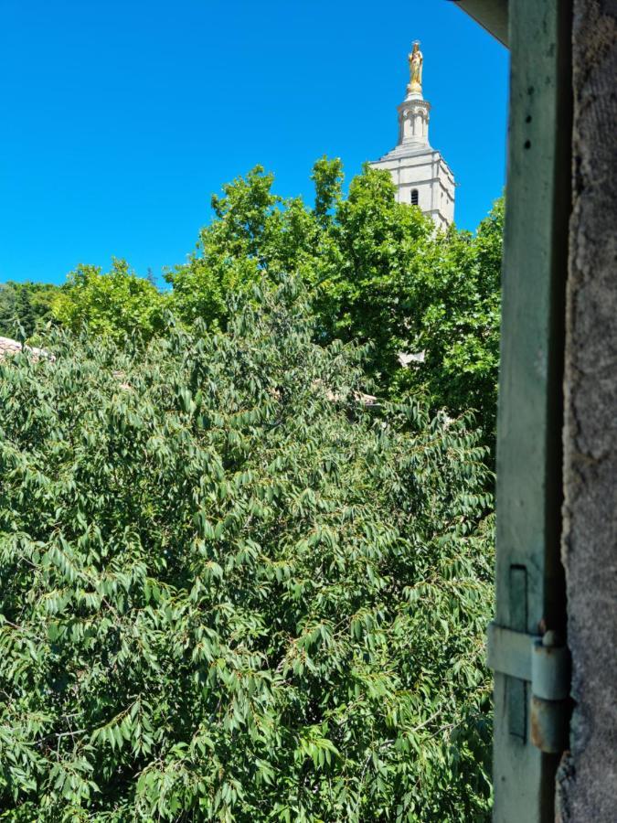 Апартаменты Un Nid Sur Les Toits Face Au Palais Des Papes Авиньон Экстерьер фото