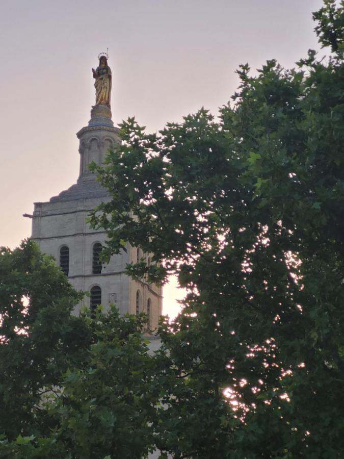 Апартаменты Un Nid Sur Les Toits Face Au Palais Des Papes Авиньон Экстерьер фото