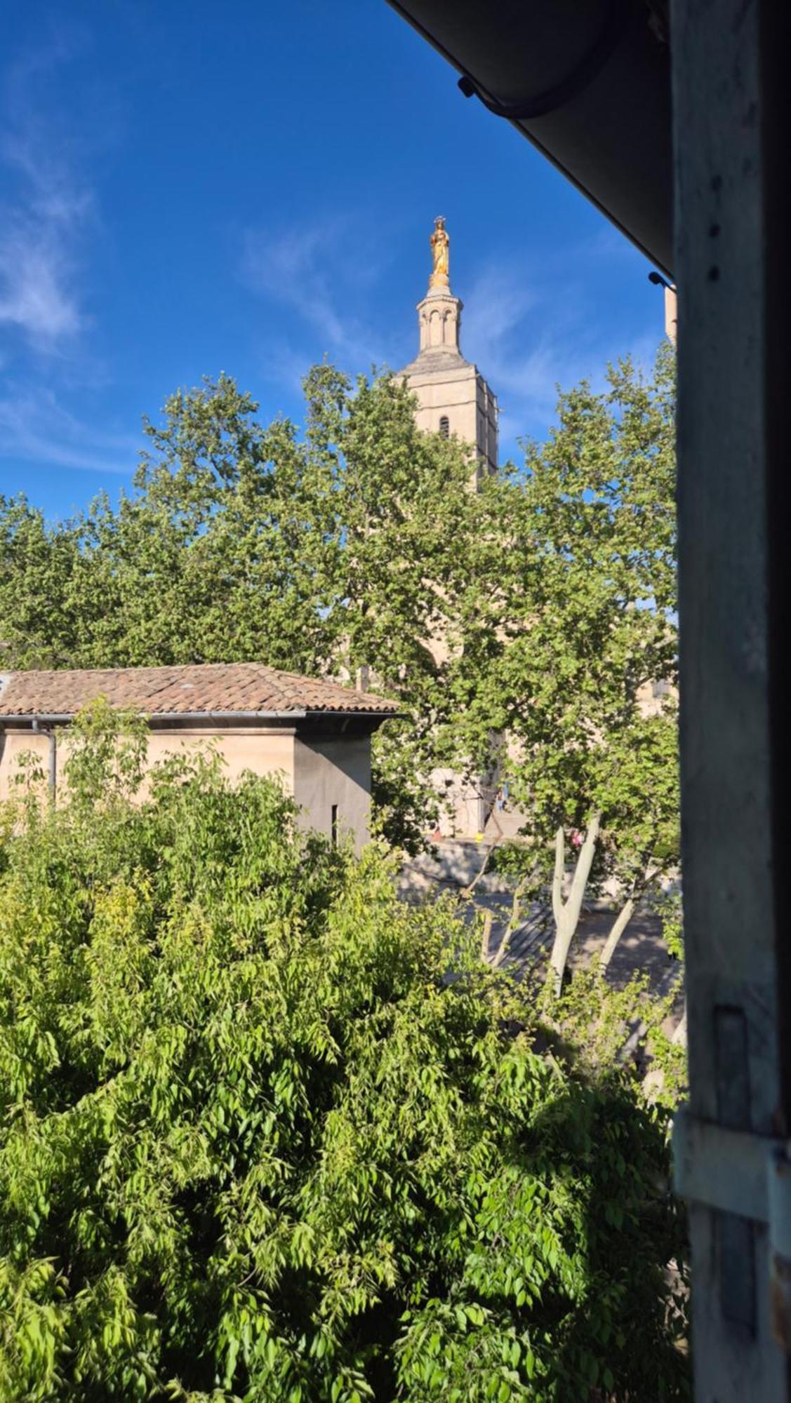 Апартаменты Un Nid Sur Les Toits Face Au Palais Des Papes Авиньон Экстерьер фото